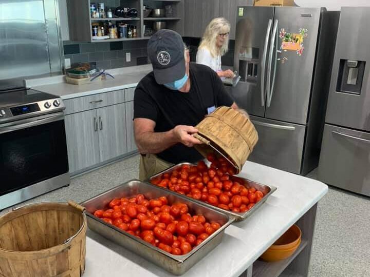 Tomatoes in Kitchen